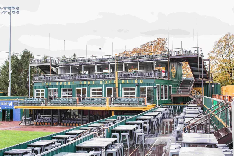 Mallards-10