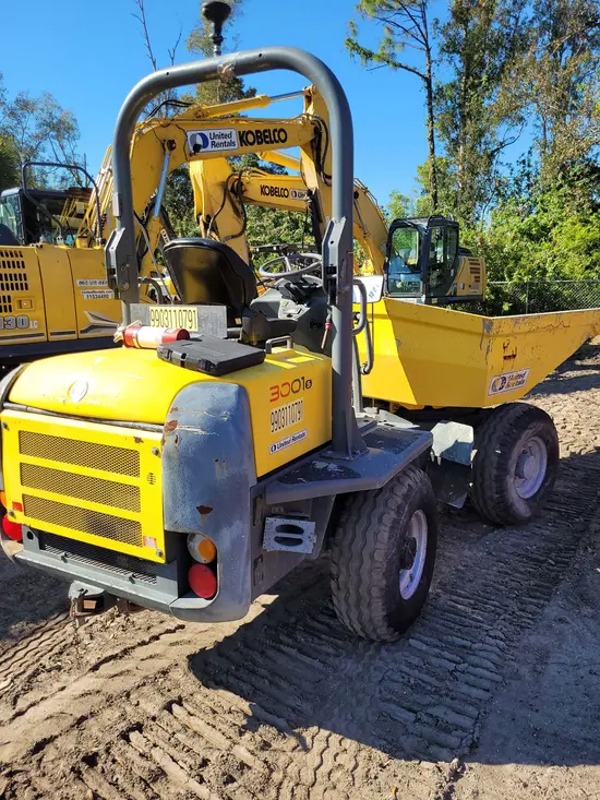 2019 Wacker Neuson 3001