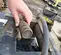 2021 Epiroc SB 452 Attachment