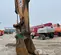 2019 Case CX350D Excavator