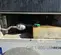 2021 Generac MLG15 Diesel Generator