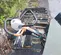 2019 Multiquip MVH508DZ Vibratory Plate Compactor