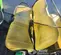 2021 John Deere XUV855M S4 Utility Vehicle