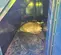 2019 Frost Fighter IDH1000K Indirect Fired Heater