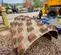 2015 BOMAG B-5 Drum Roller