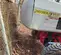 2016 MEC 60J-D Boom Lift