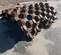 2018 Hamm 2336920 Drum Roller