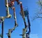 2017 JLG E450AJ Articulating Boom Lift