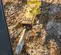 2021 Epiroc SB 452 Attachment