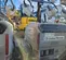 2021 Wacker Neuson LTV6L Portable Light Tower