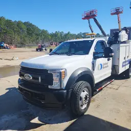 2019 Ford F550REGXLG4WD